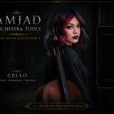 AMJAD ORCHESTRA TOOLS Kontakt Pro Library (34)