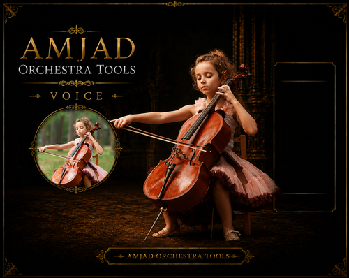 AMJAD ORCHESTRA TOOLS Kontakt Pro Library (38).png