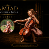 AMJAD ORCHESTRA TOOLS Kontakt Pro Library (38)