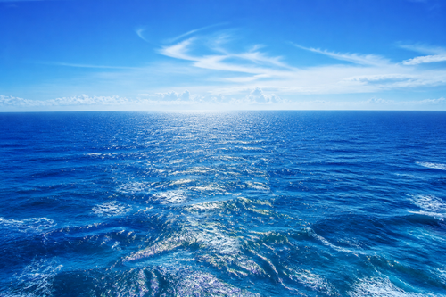 generated image 1778990381659.png