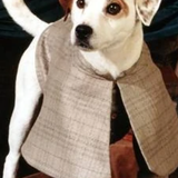 Sherlock Holmes or House of the Baskervilles or Scandal in Bohemia.png