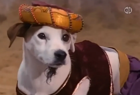 Ali Baba and the 40 Theives or 1001 Arabian Nights.png