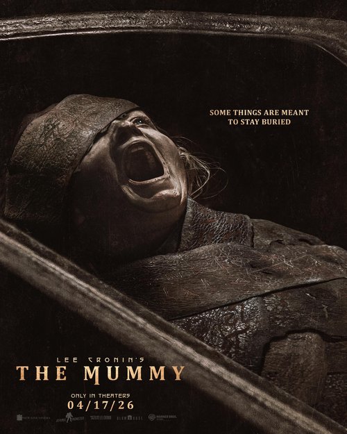 Mumia: Film Lee Cronina / Lee Cronin's The Mummy (2026) PLDUB.480p.WEB-DL.XviD.AC3-OzW | Dubbing PL
