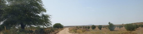 horizon.jpg