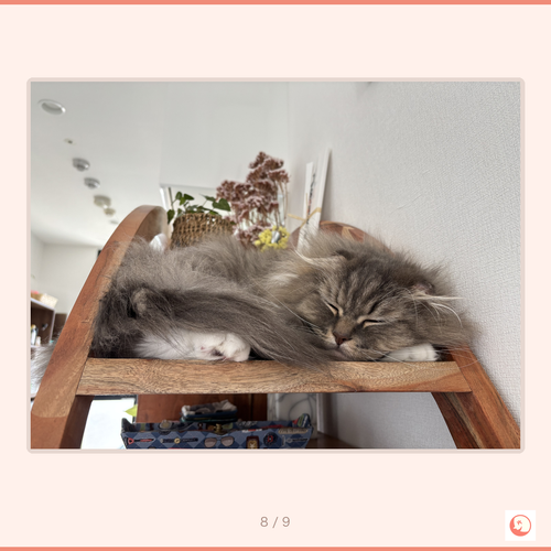 d717a248e2aa.png