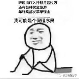 程序员反应图：我可能是个假程序员
