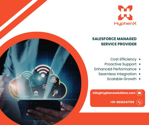 Salesforce Managed Service Provider .jpg