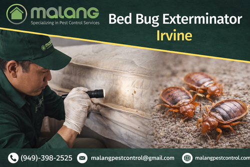 Expert Bed Bug Exterminator in Irvine Fast & Reliable Service.png