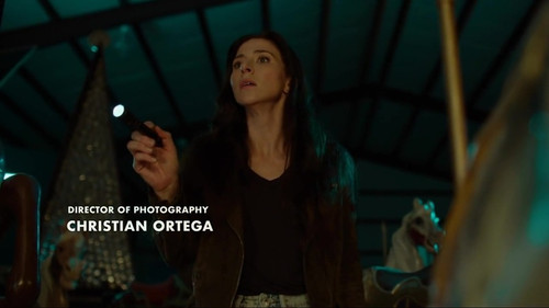 Picture Perfect Sister in Law Analisa Wall chl 1.jpg