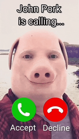 JOHN PIGPATCH MEME.gif