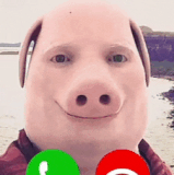 JOHN PIGPATCH MEME