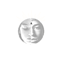 adalt affetti.png