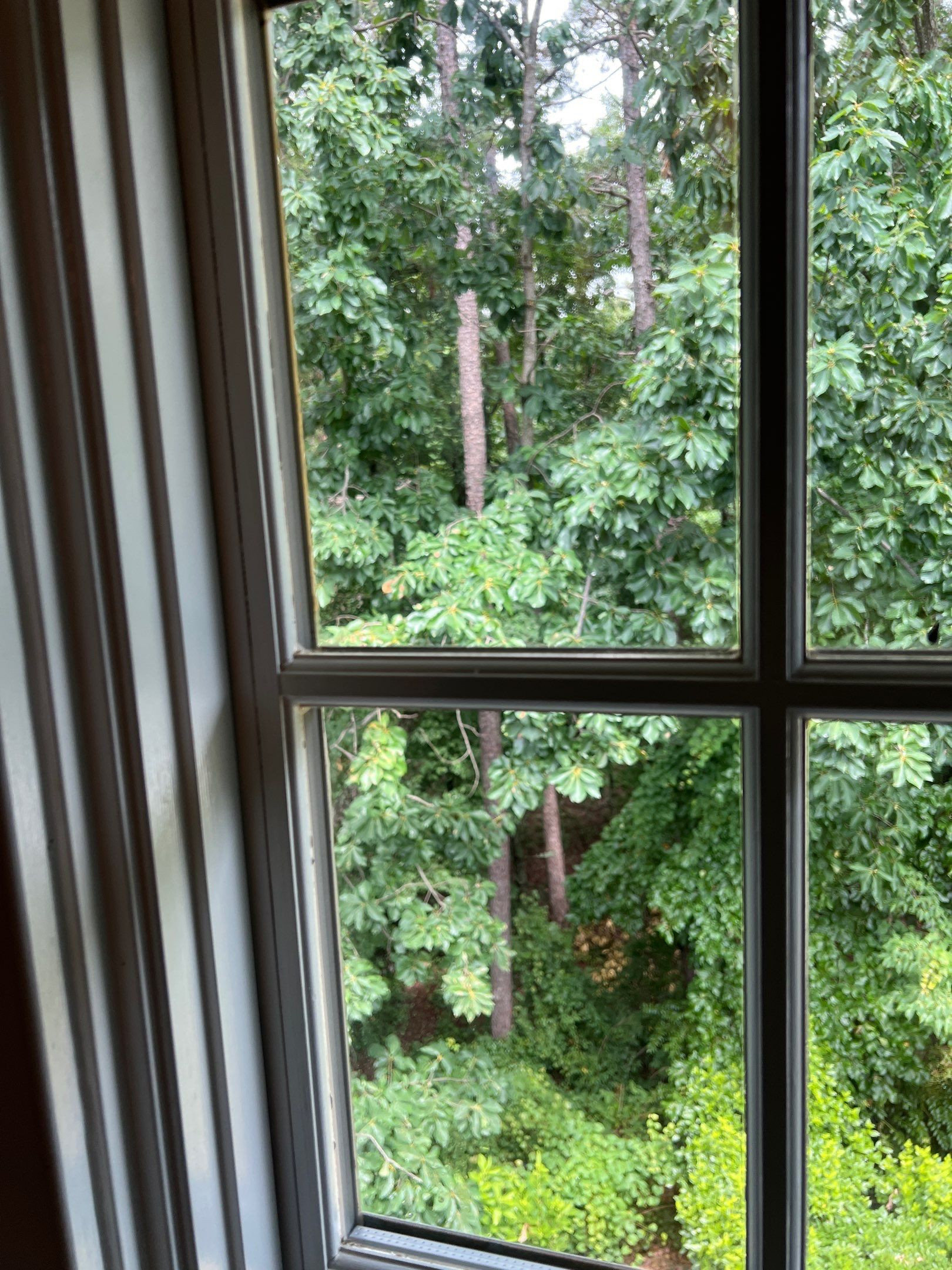 Window cleaning service in Anderson South Carolina