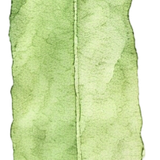 IMG 20260402 020701.png