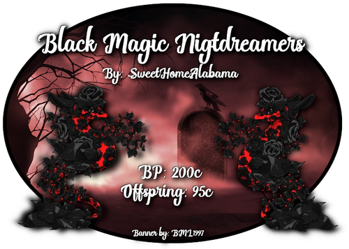 black magic nightdreamers.png