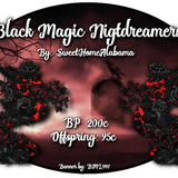 black magic nightdreamers