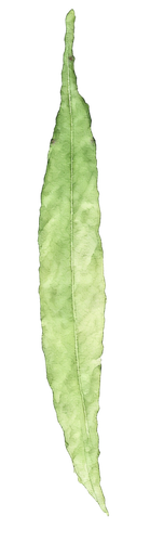IMG 20260402 020816.png