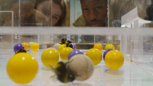 Secrets.of.the.Bees.S01E01.The.Hive.2160p.DSNP.WEB DL.CZ EN.DD+5.1.DoVi.HDR.HEVC NTb.mkv 20260402 06.jpg