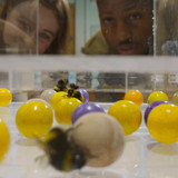 Secrets.of.the.Bees.S01E01.The.Hive.2160p.DSNP.WEB DL.CZ EN.DD+5.1.DoVi.HDR.HEVC NTb.mkv 20260402 06