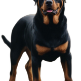 892e6631f41629aa40e58761eb095a41 pixian ai