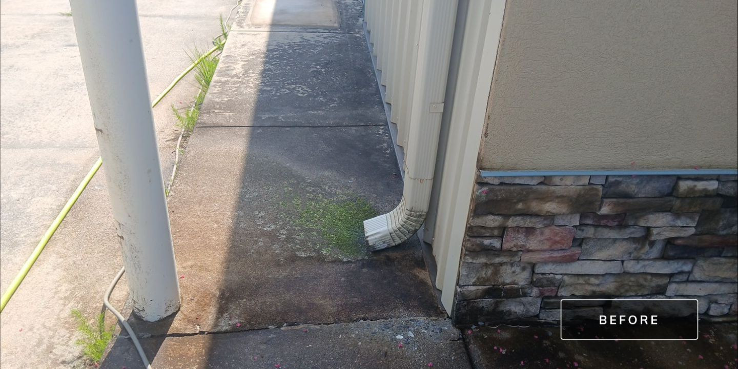 Dirty concrete walkway with algae and stains before professional cleaning in North Georgia