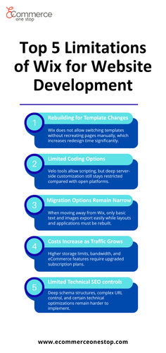 Top 5 Limitations of Wix for Website Development.png