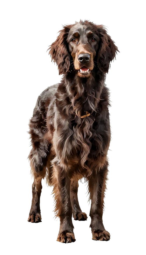 2489acb813edc180ce083259a415476e pixian ai.png