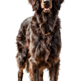 2489acb813edc180ce083259a415476e pixian ai