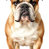 0707c27b7d06c895ae1fa5ccde7b37d7 pixian ai