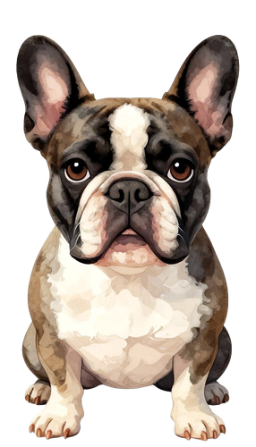 c735cb42b4519df4f0195401c488961d pixian ai.png