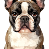 c735cb42b4519df4f0195401c488961d pixian ai