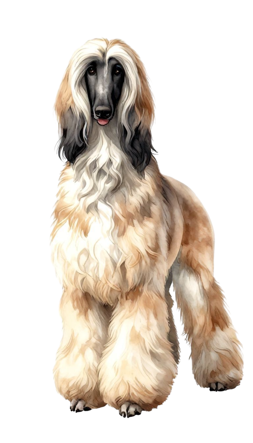 321289225e8e17a72ec7a24f096dbab7 pixian ai.png