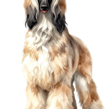 321289225e8e17a72ec7a24f096dbab7 pixian ai