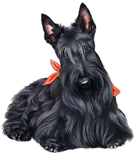 f8e1fdf5b46be0cad2d832b05760f08a pixian ai.png