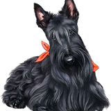 f8e1fdf5b46be0cad2d832b05760f08a pixian ai