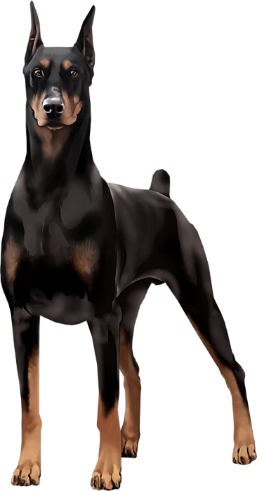 580ff07be9221f0834e51fa4291b41eb pixian ai.png