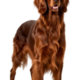 8f6284febcd275db6211262a3a2aa8a4 pixian ai