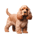 847276d882f9ae9cbac3ae587076ec16 pixian ai