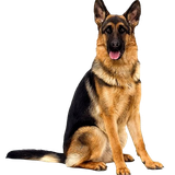 6f02cbefe6a9cf8256f660cf178188e2 pixian ai