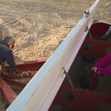 Secrets.of.the.Bees.S01E02.The.Pollinators.1080p.DSNP.WEB DL.CZ EN.DD+5.1.H.264 playWEB.mkv 20260402