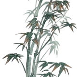 IMG 20260402 021451.png