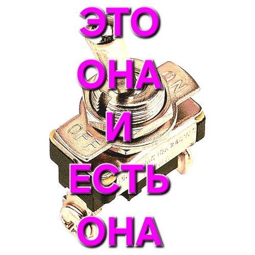 1000010397.jpg