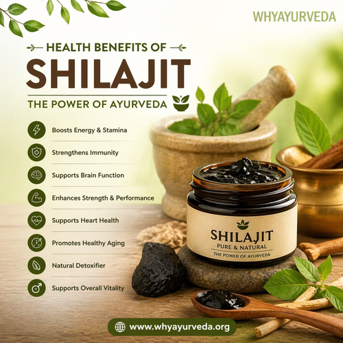 benefits of shilajit.png