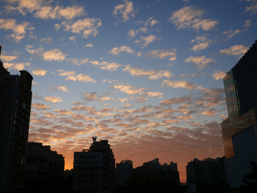 P1099782.jpg