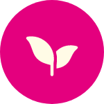 fb0775dde03d.png