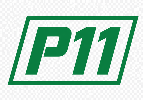 p11.png