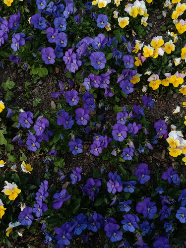 IMG20260315174658.jpg