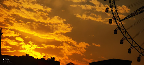 IMG 20241231 172246 1.jpg