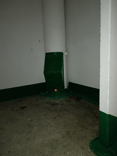 7705.jpg