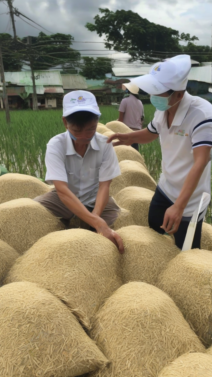 900 more distribution sites planned for P20 rice program